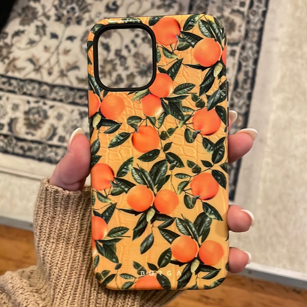 Burga iPhone 12 Pro case